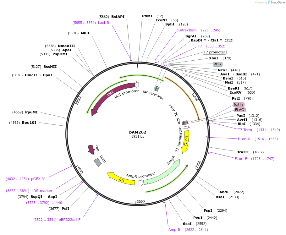 451042_map