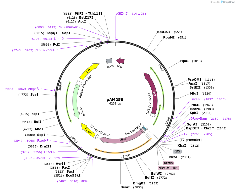 451045_map