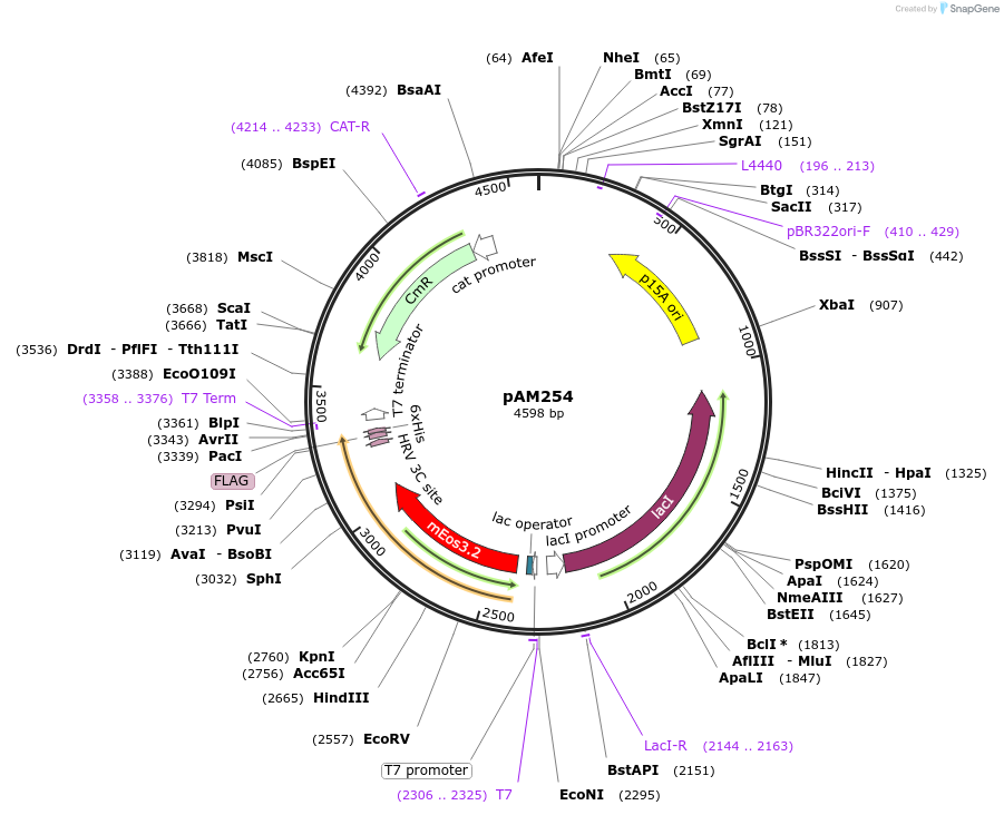 451051_map
