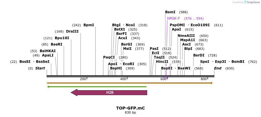 45106_map