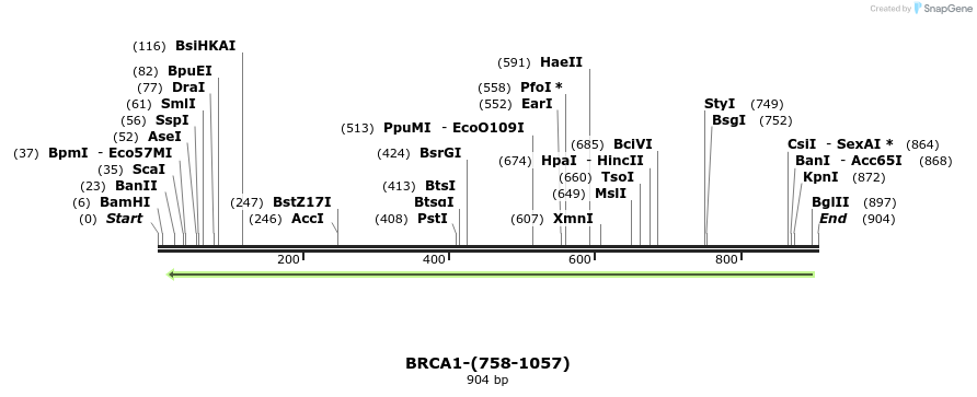 45109_map