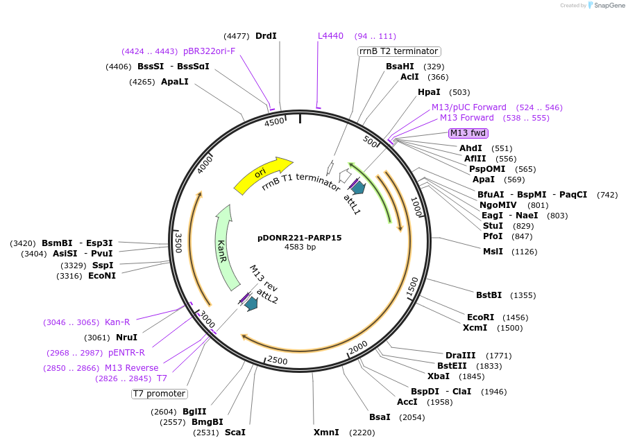 451129_map
