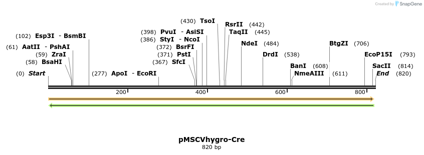 45116_map
