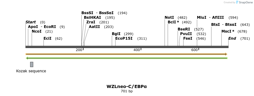 45120_map