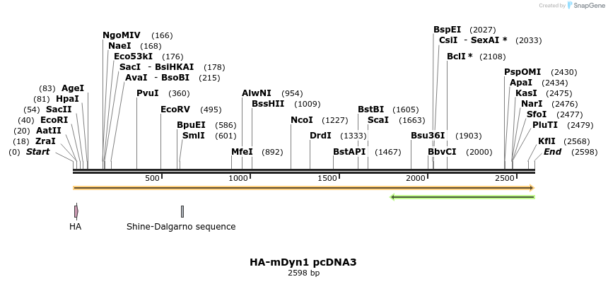 45122_map