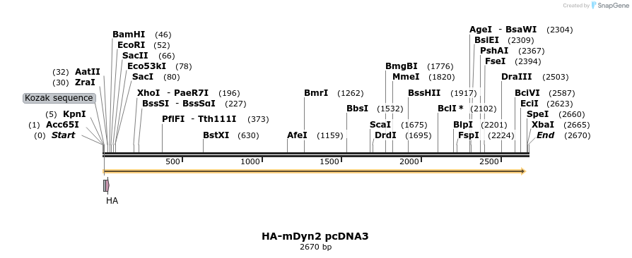 45123_map