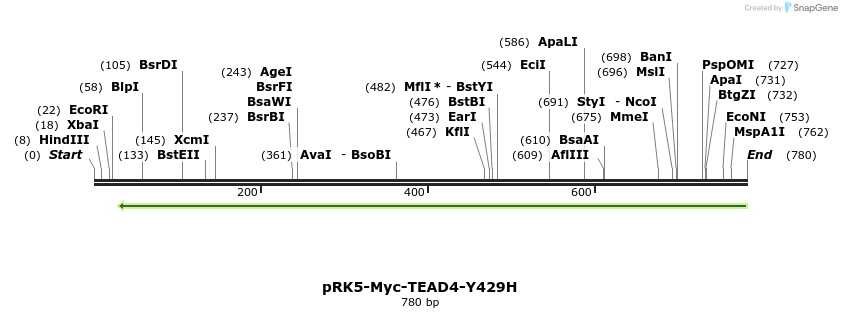 45125_map