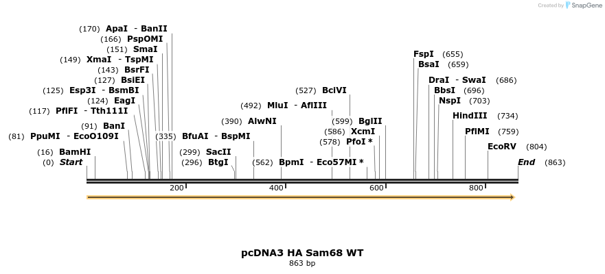 45126_map