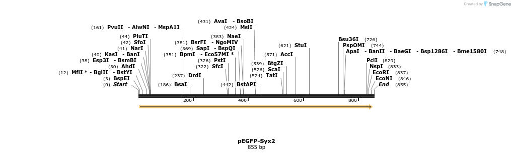 45128_map