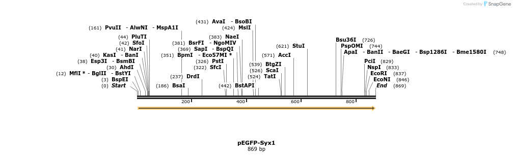 45129_map