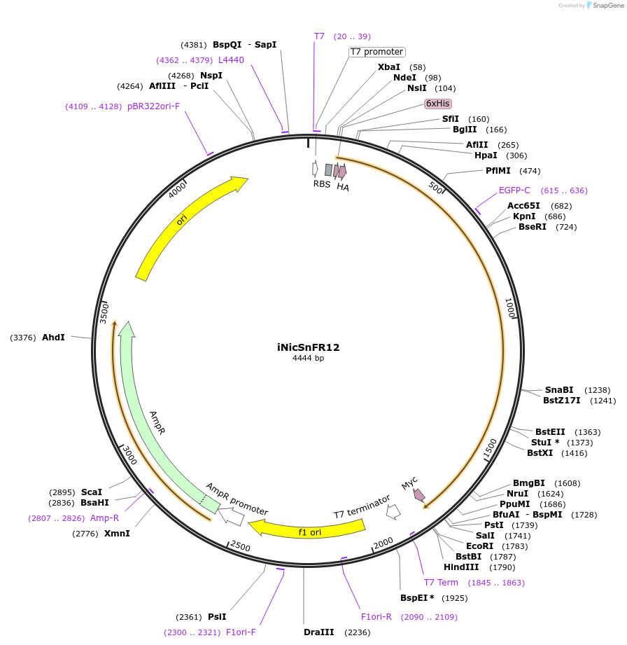 451308_map