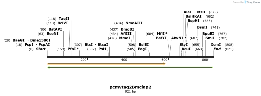 45145_map