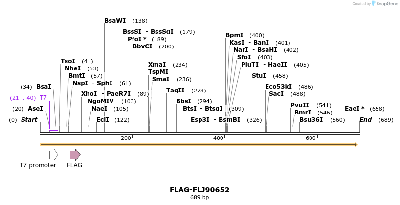 45146_map