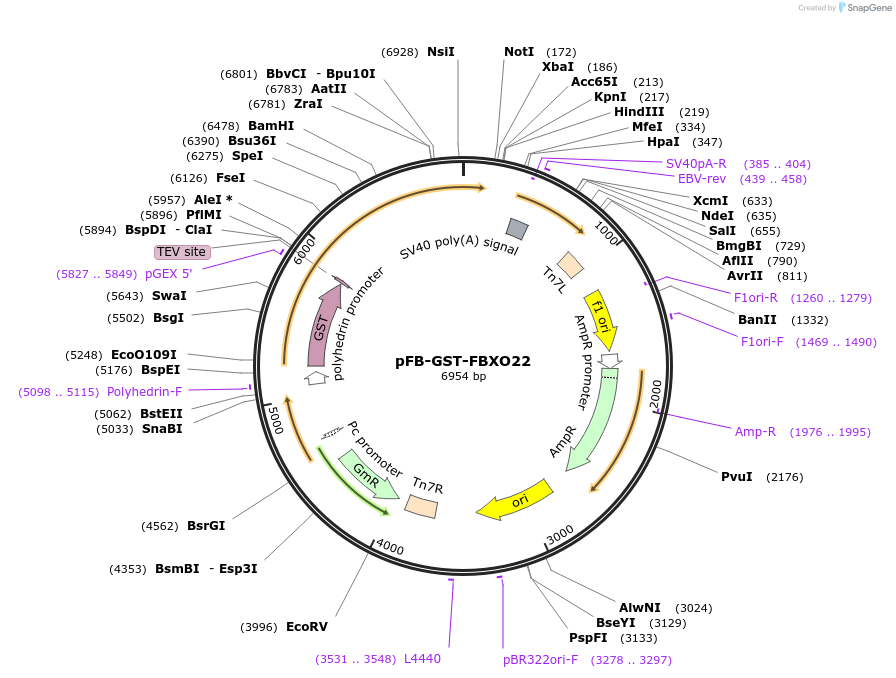 451465_map