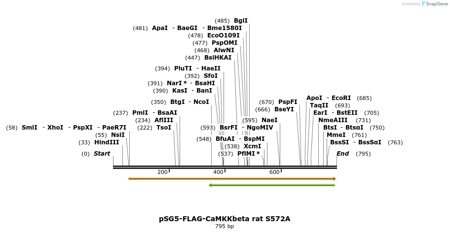 45147_map