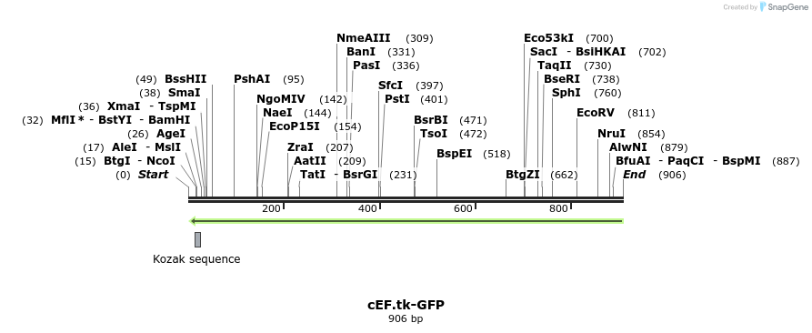 45152_map