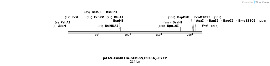 45157_map