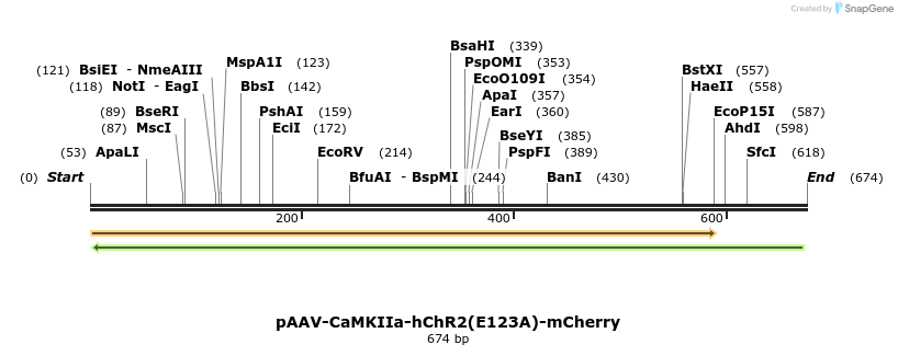 45159_map