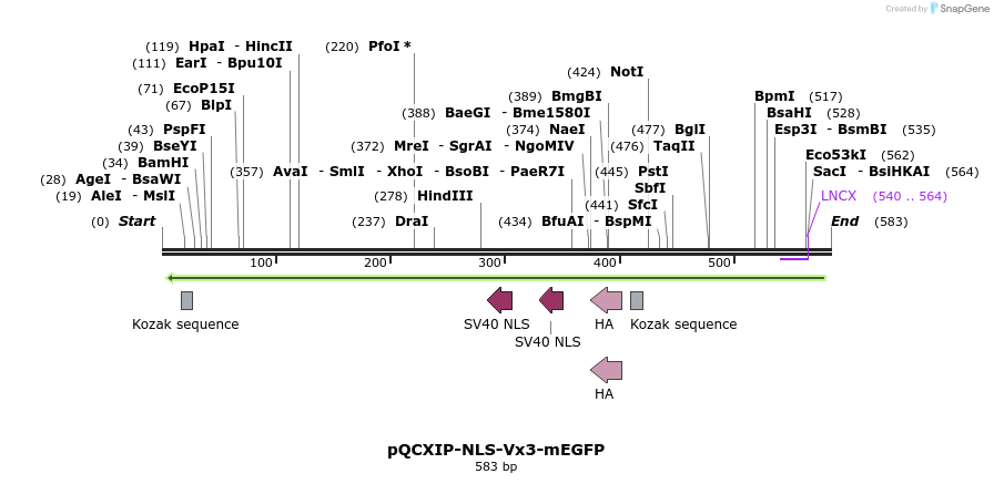 45160_map