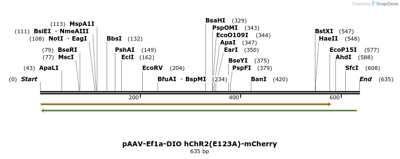 45164_map