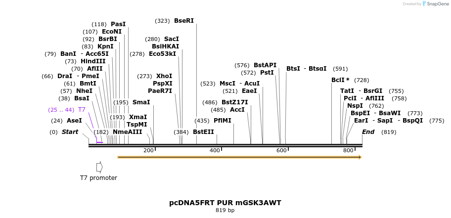 45170_map