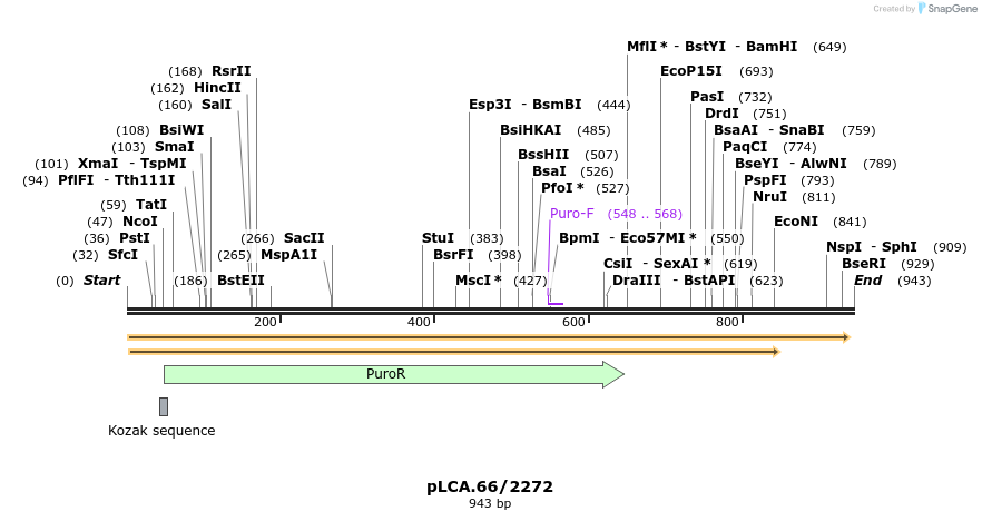 45173_map