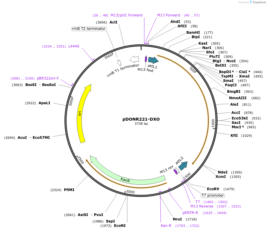 451739_map