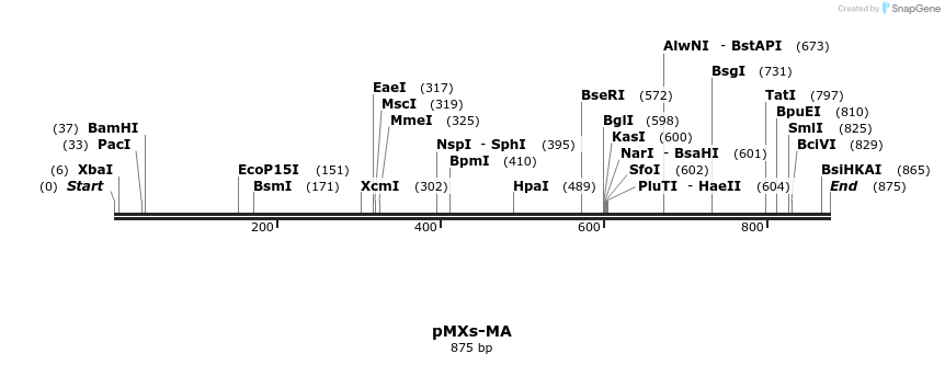 45174_map