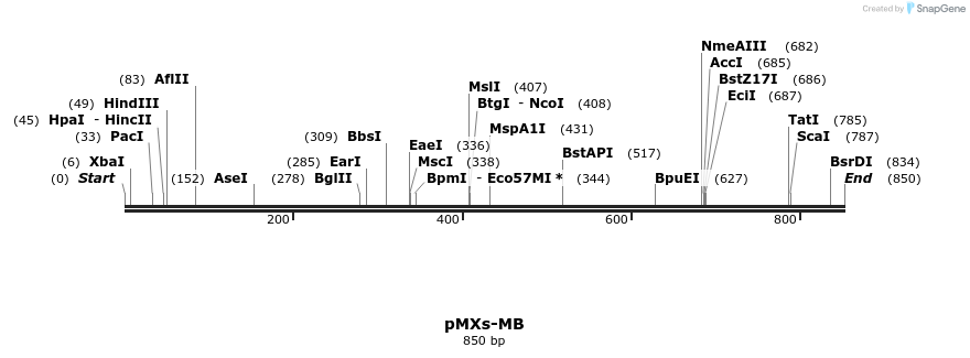45176_map