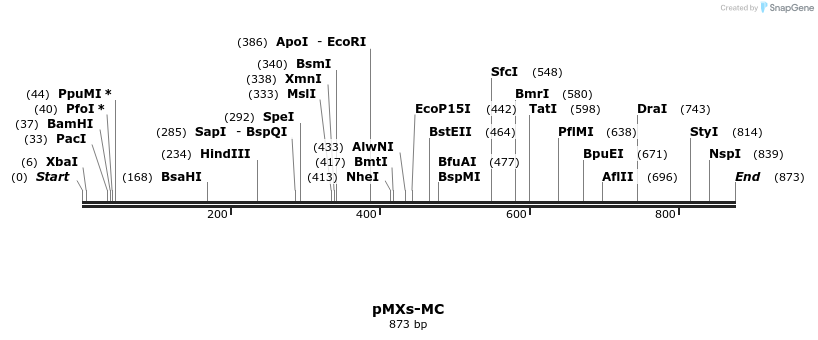 45177_map