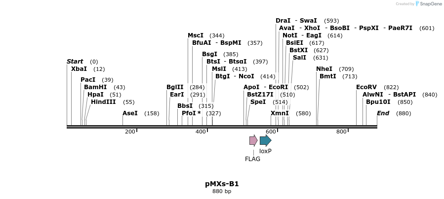 45178_map