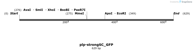 45179_map