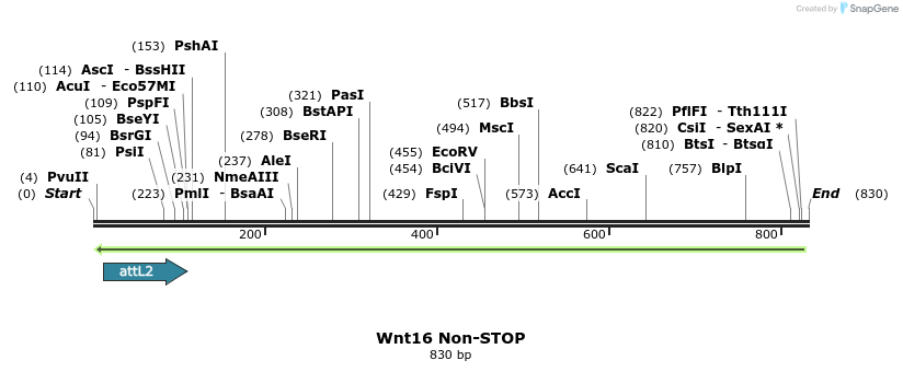 45184_map