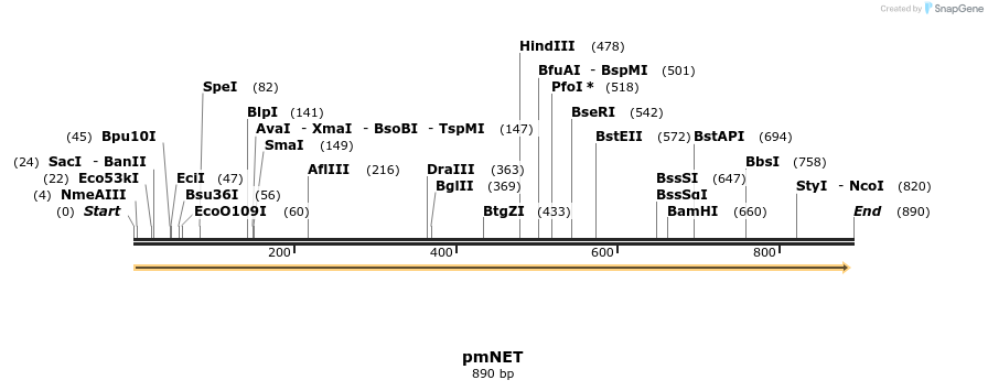 45186_map