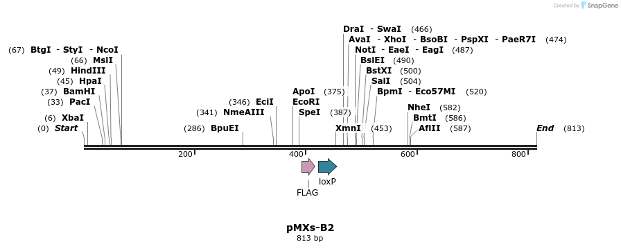 45187_map