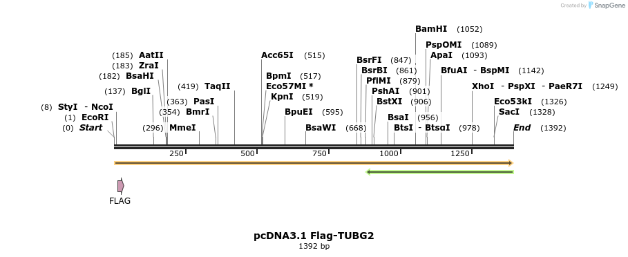 451870_map