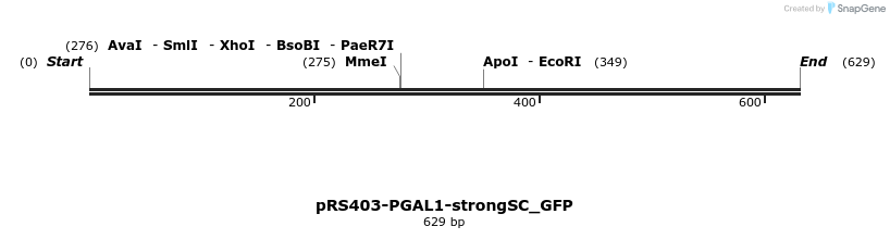 45188_map