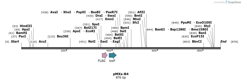45190_map
