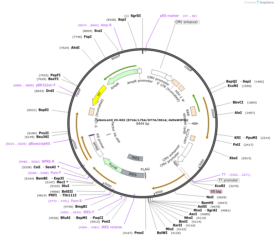 451904_map