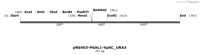 45192_map