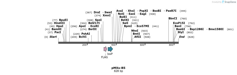 45193_map