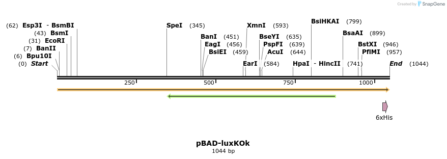 451937_map