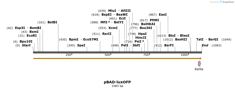 451939_map