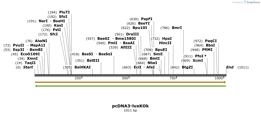 451947_map