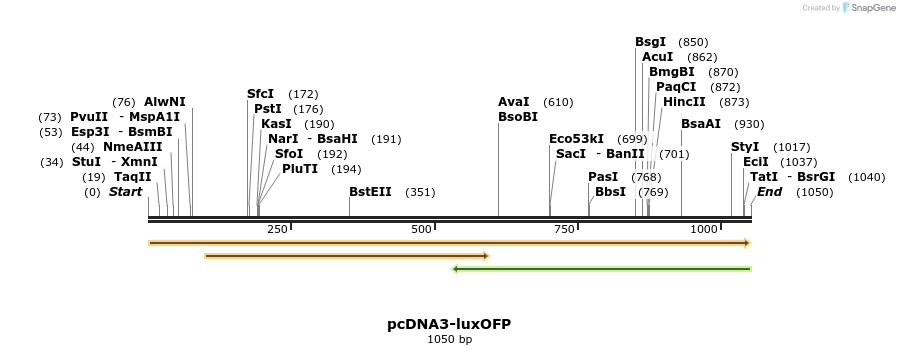 451949_map