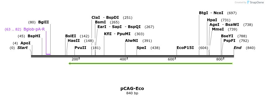 45196_map