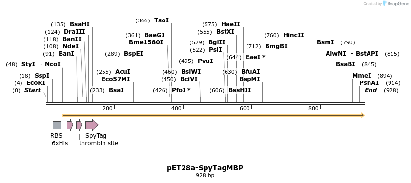 45198_map