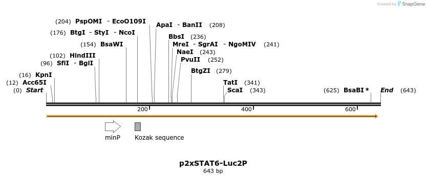 45200_map