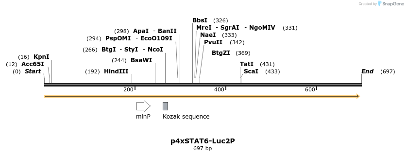45201_map