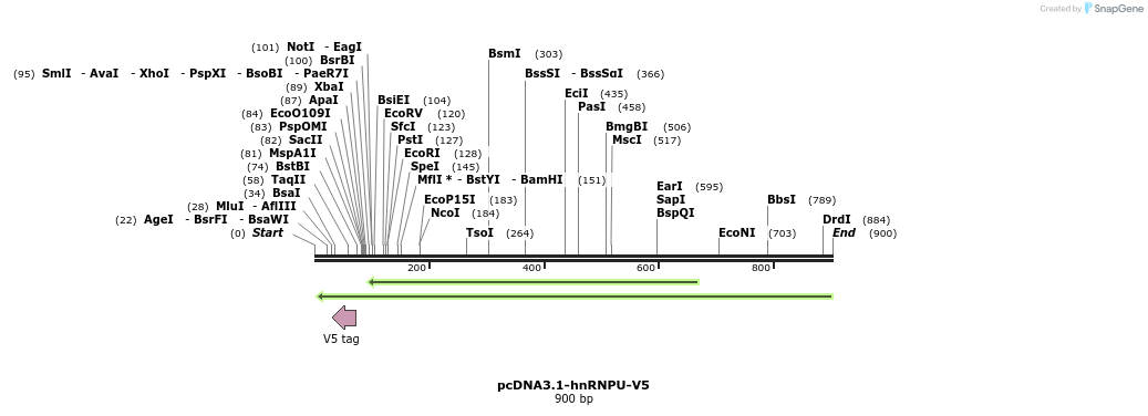 45202_map